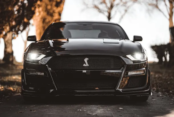 Luckland Kaszinó Android/iOS Alkalmazás